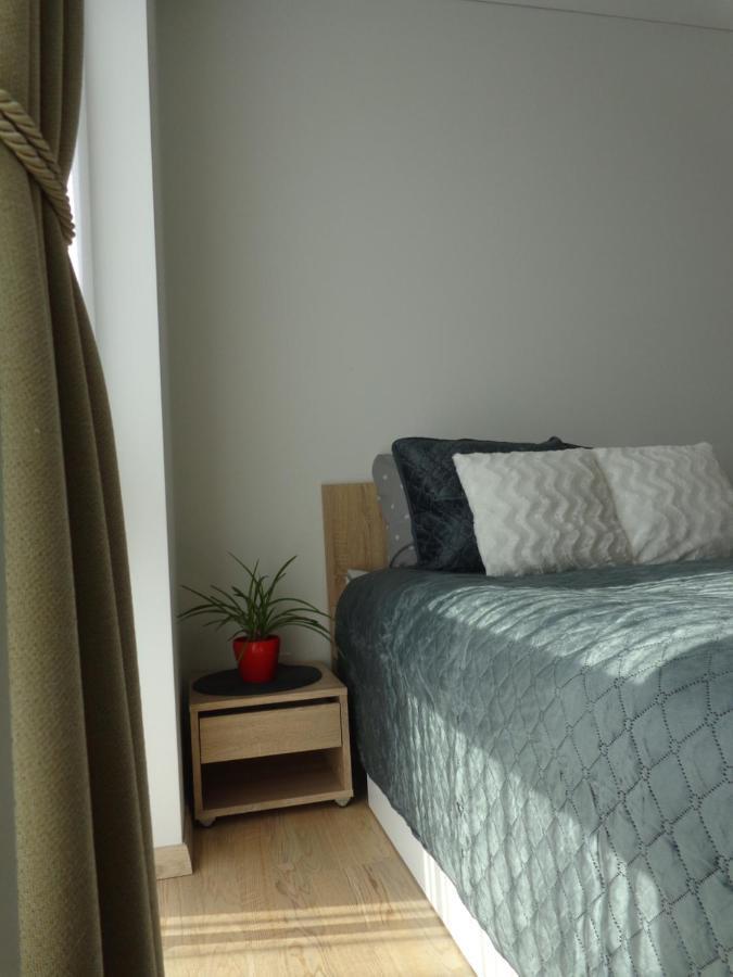 Elzbietos Centro Apartamentai Аеропорт Вільнюс Екстер'єр фото