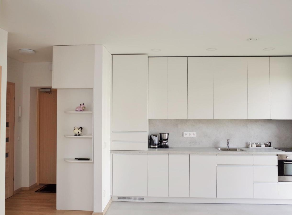 Elzbietos Centro Apartamentai Аеропорт Вільнюс Екстер'єр фото